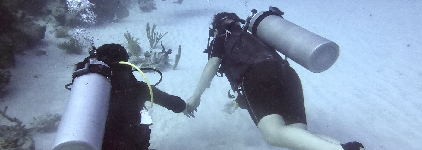 Conoce el mejor Centro de Buceo recomendado en Chinchorro, Mahahual